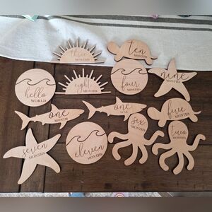 Wooden Milestone Discs for Baby Photos